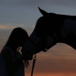Equine-assisted Therapy: Including Horses in Psychotherapy